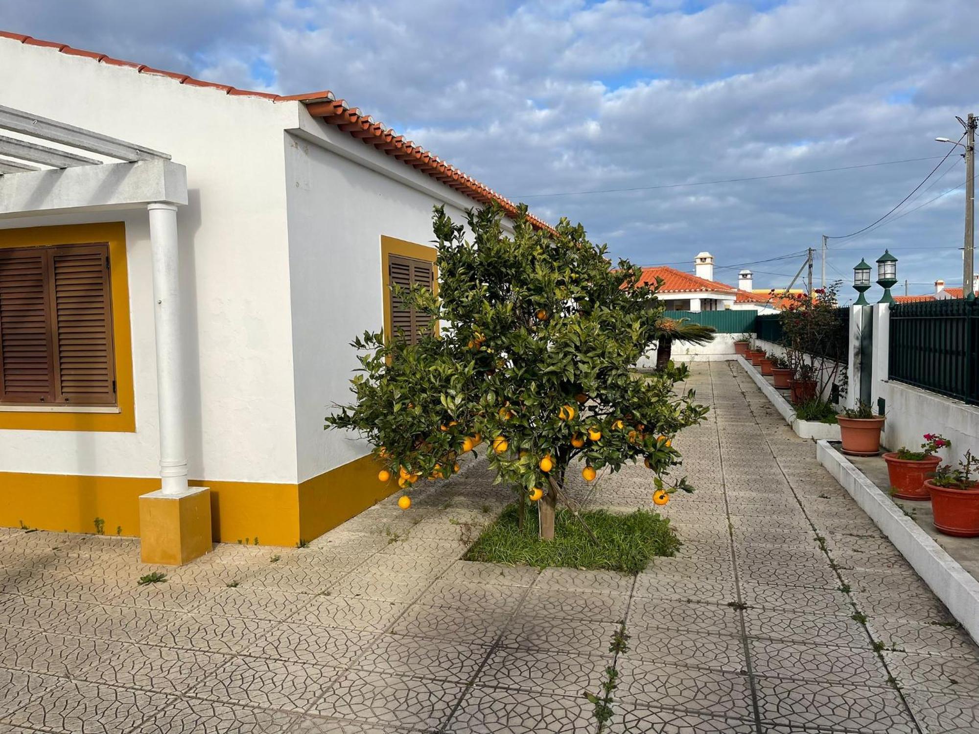 Luz E Sal By Stay In Alentejo Cavaleiro Bagian luar foto